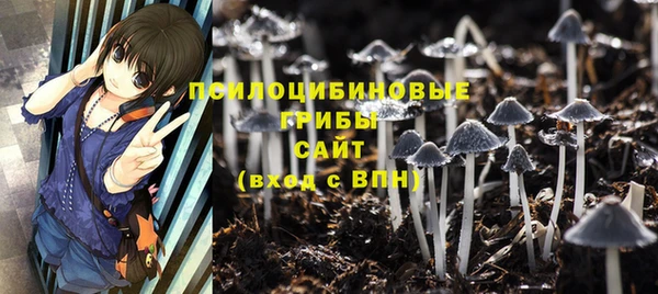 apvp Алексеевка