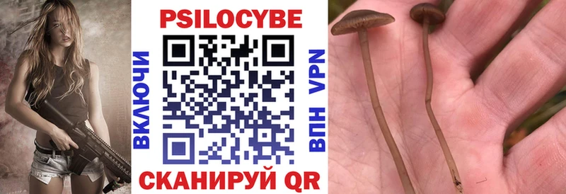 Псилоцибиновые грибы ЛСД  где можно купить   МЕГА зеркало  Слюдянка 